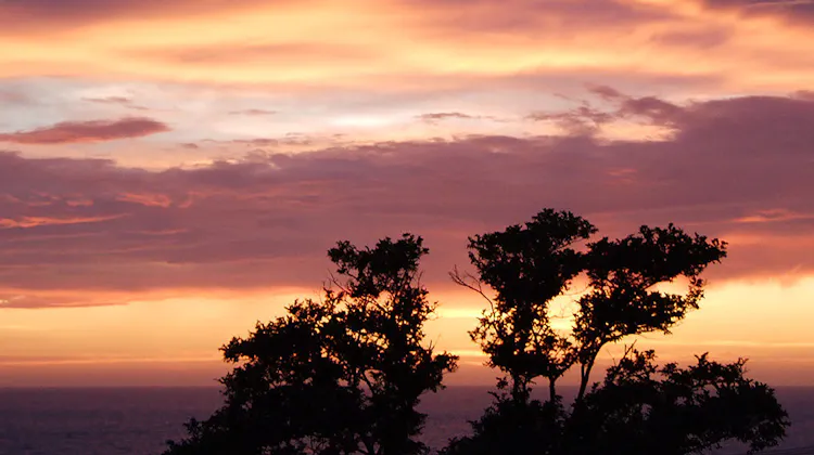 間人温泉 炭平 の宿泊プラン 予約 Yahoo トラベル 間人温泉 炭平 の宿泊プラン 予約 Yahoo トラベル