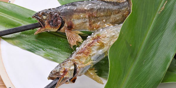 22年最新 北関東周辺で食を堪能するオーベルジュランキング 一休 Com 22年最新 北関東周辺で食を堪能するオーベルジュランキング 一休 Com