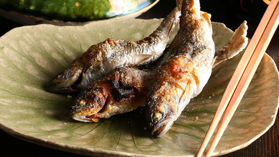 Fufukigawa Onsen Zabou