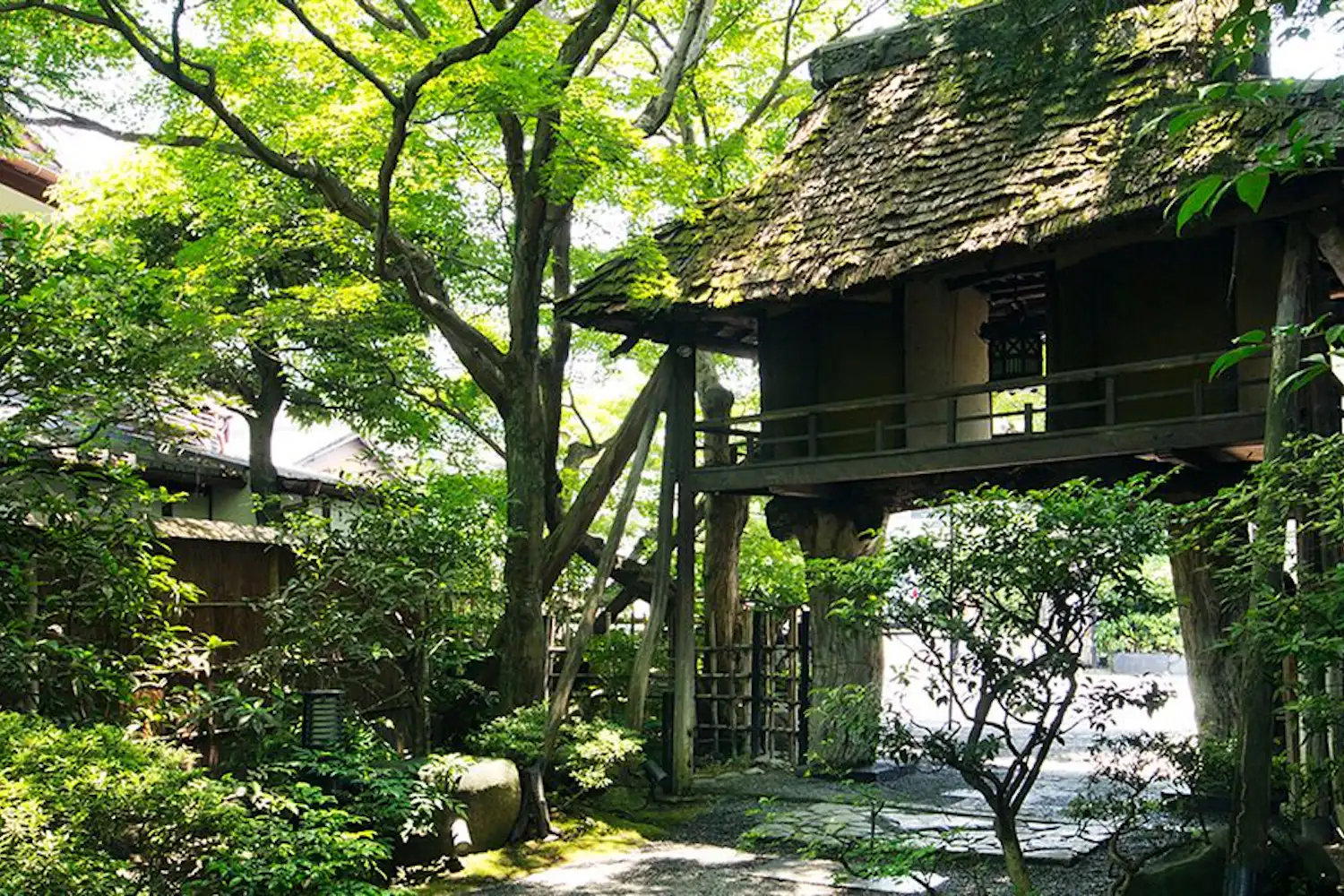 ทางเข้า