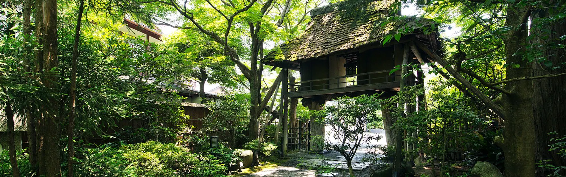 山ばな 平八茶屋