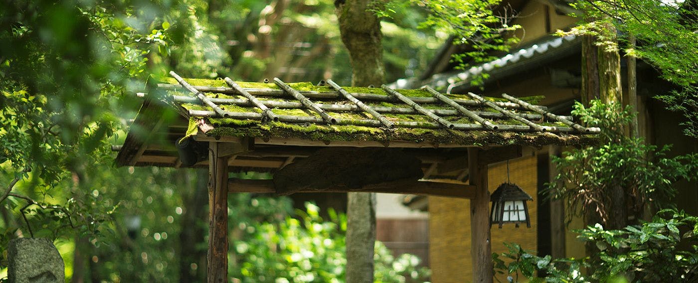山ばな　平八茶屋