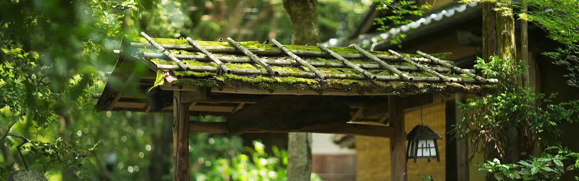 山ばな 平八茶屋