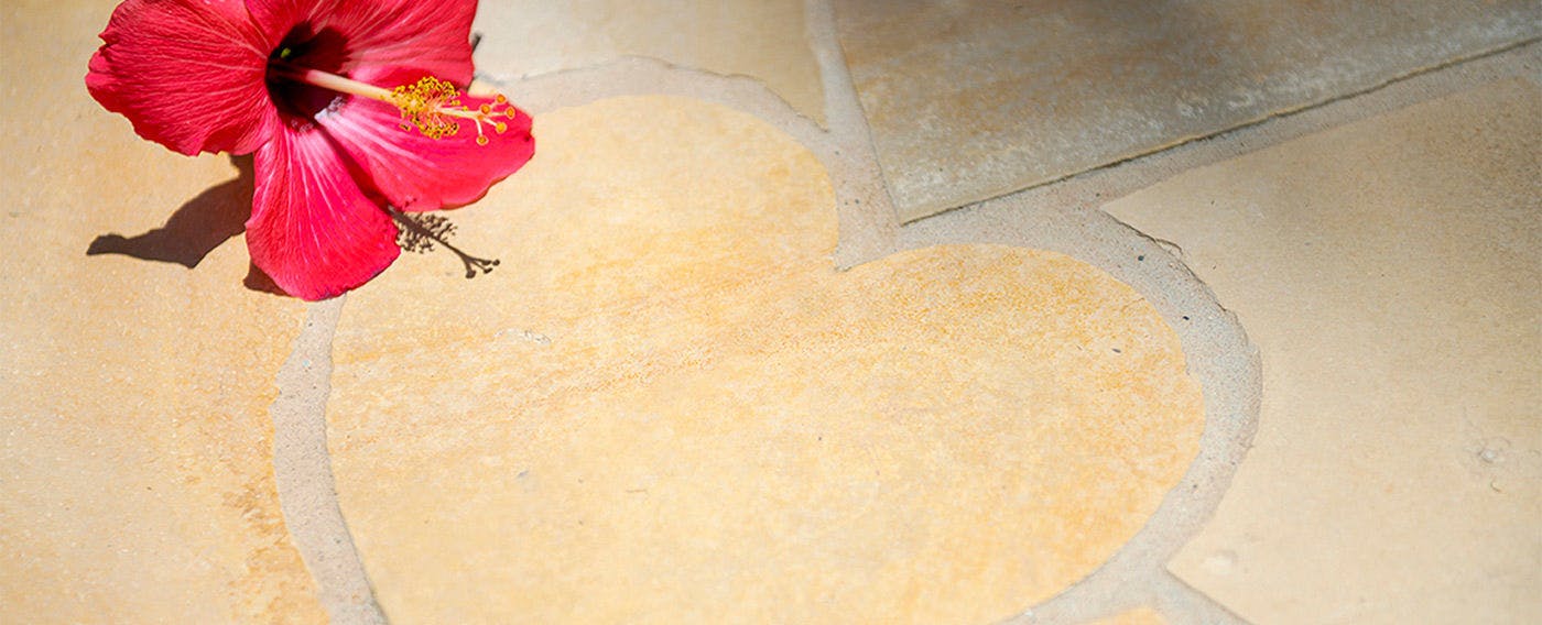 수영장 옆 (계절 운영)