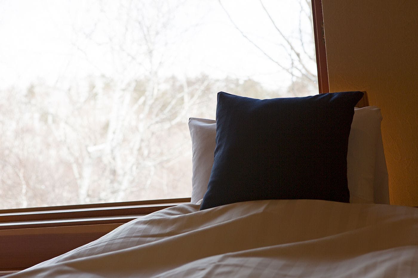 Hotel Lapin in the Highlands