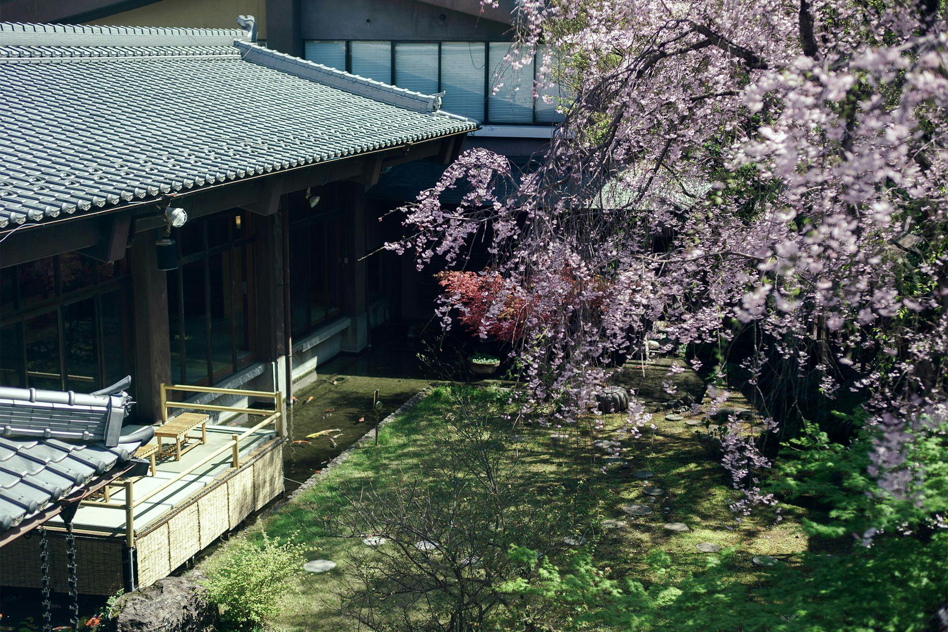 糸柳こやど ゆわ