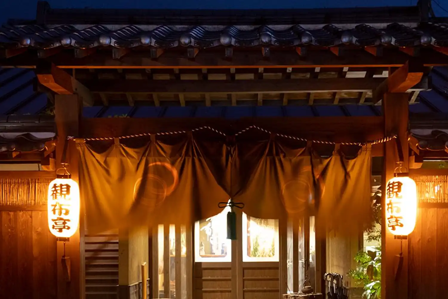 ลักษณะภายนอก