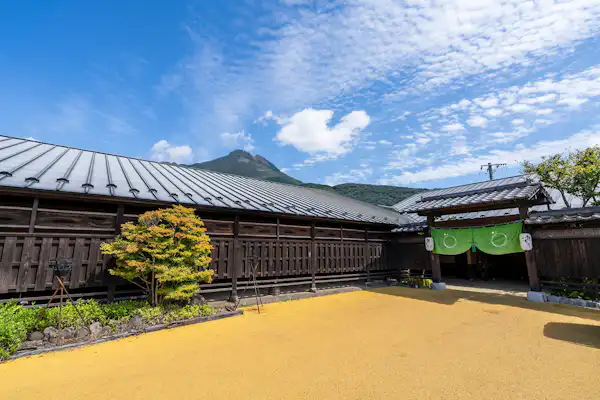 รูปลักษณ์ภายนอก