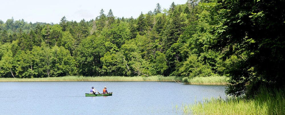 เรือแคนู