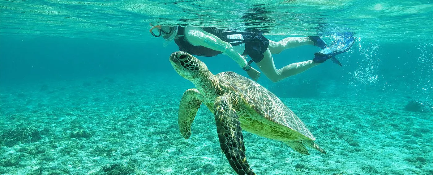 เพลิดเพลินกับกิจกรรมทางทะเลหลากหลายพร้อมสัมผัสความงดงามของน้ำทะเลสีฟ้าแห่งมิยาโกะ