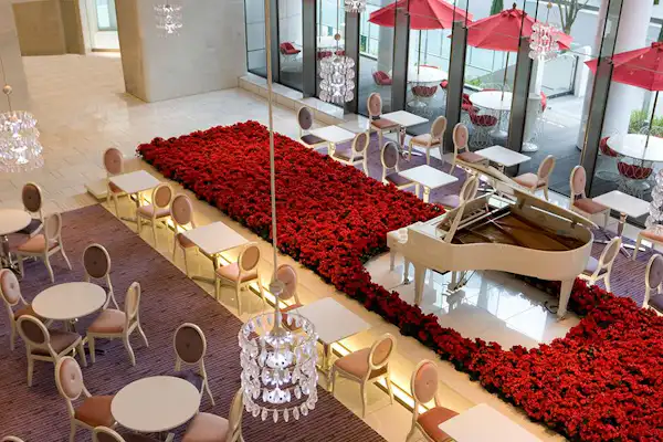 มองลงไปยังคาเฟ่เทอเรส 'Ginmokusei'