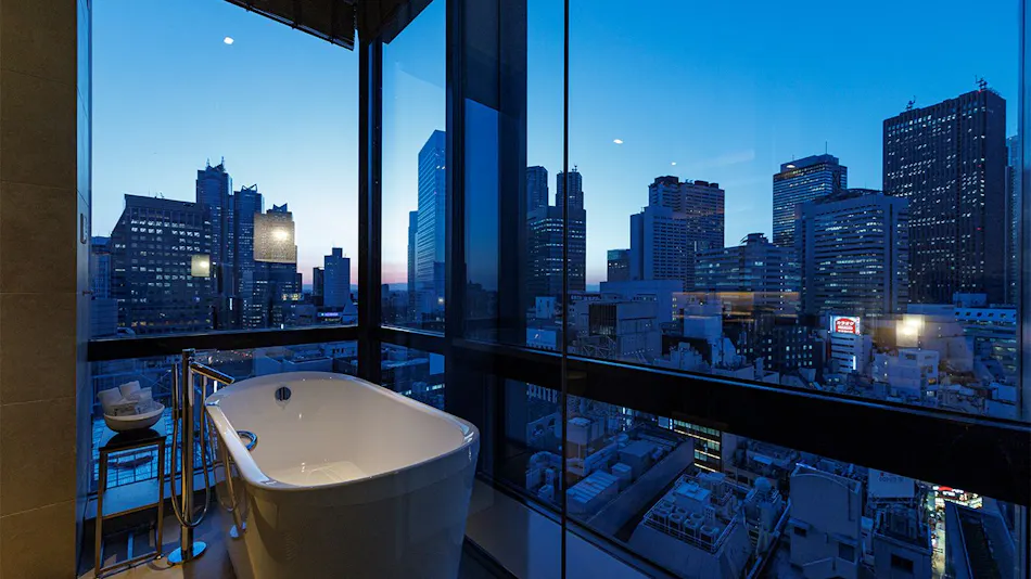 JR Kyushu Hotel Blossom Shinjuku