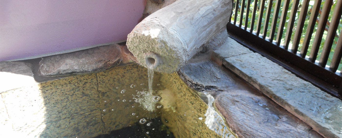 伊豆高原温泉　花生の郷