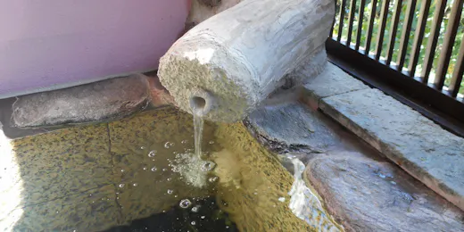伊豆高原温泉 花生の郷