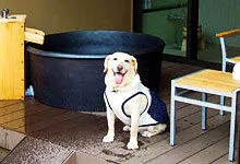 愛犬ご同伴でご宿泊のお客様へ