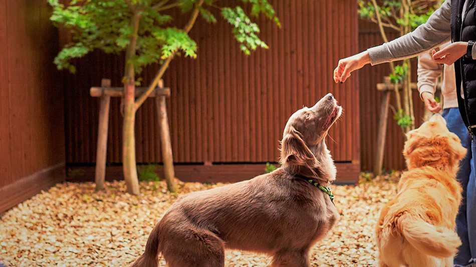 Regina Resort Hakone Ungaisou
