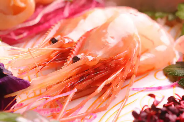 Makanan
