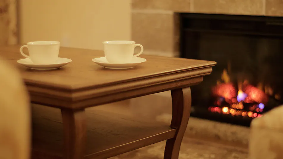 La Vista Fuji-Kawaguchiko (Kyoritsu Resort)