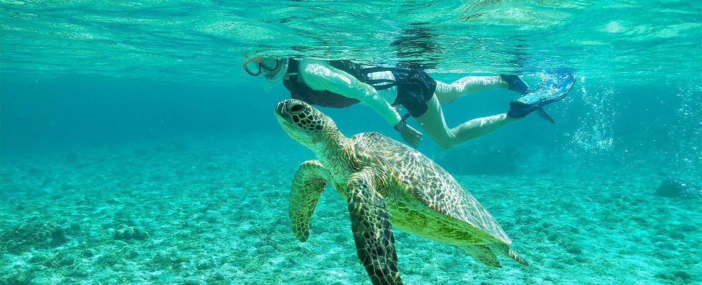 豊富なマリンアクティビティで宮古ブルーをお愉しみいただけます。