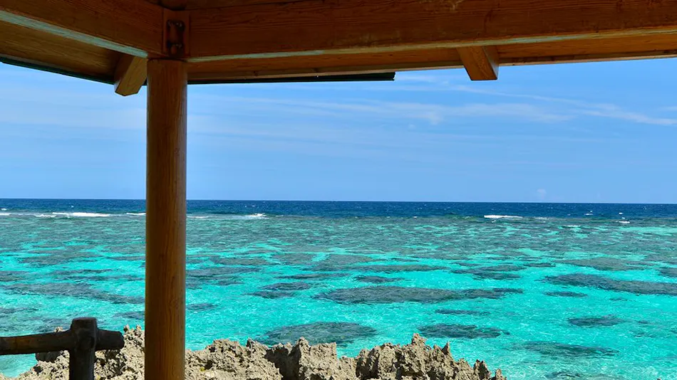 Allamanda Imgya Coral Village