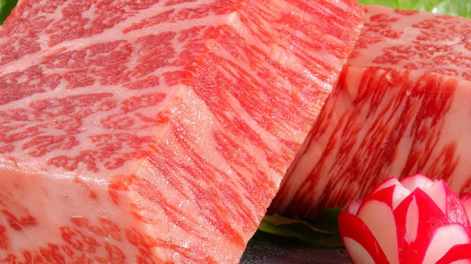 Delicious Onsen Yumemisaki