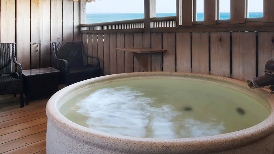 Delicious Onsen Yumemisaki