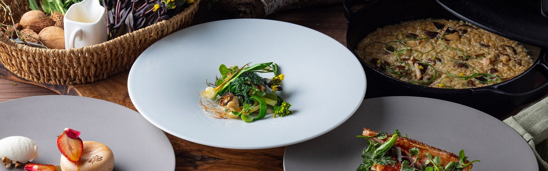 KYUKARUIZAWA KIKYO, Curio Collection by Hilton