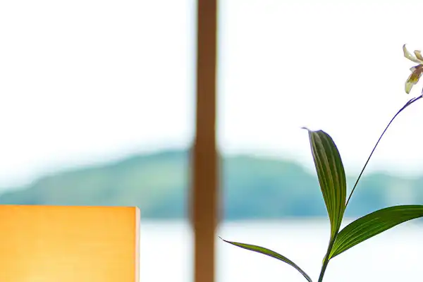 ตัวอย่างภาพ