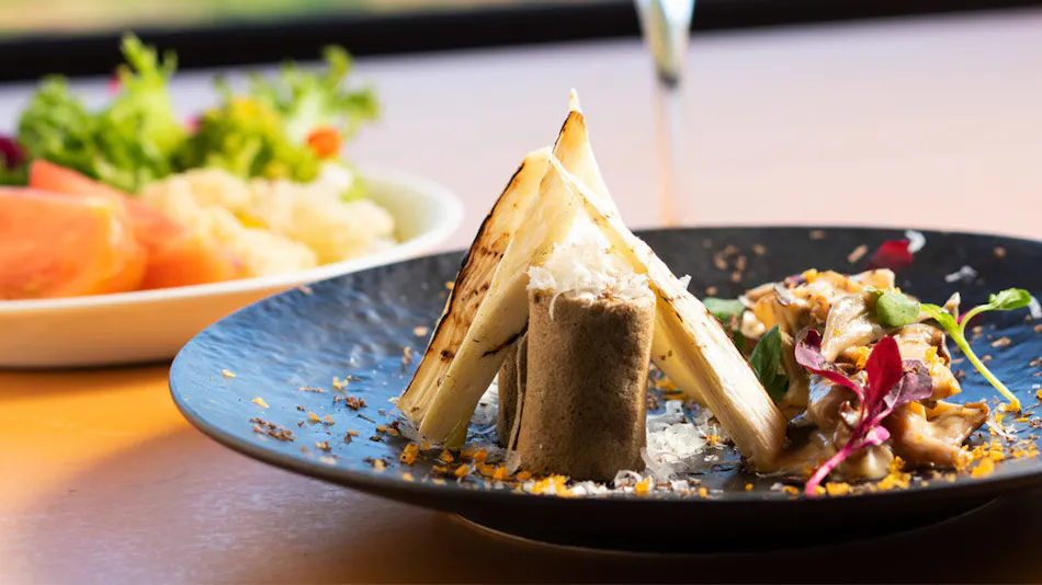 Bar Hotel Hakone Kazan