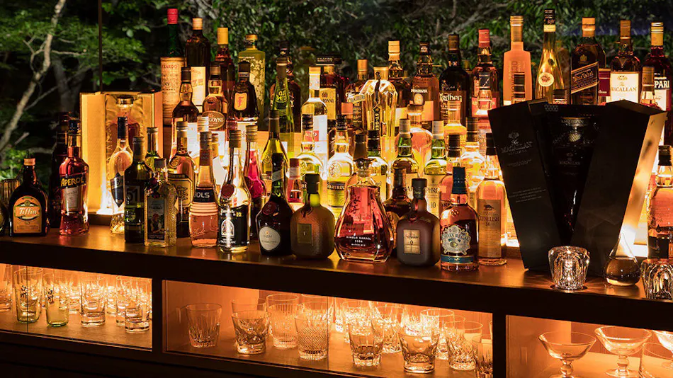 Bar Hotel Hakone Kazan