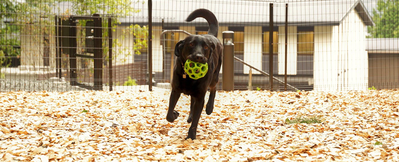 レジーナリゾート箱根仙石原