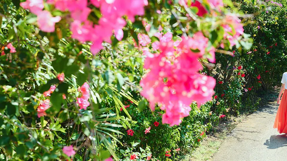 Hoshino Resorts Risonare Kohamajima