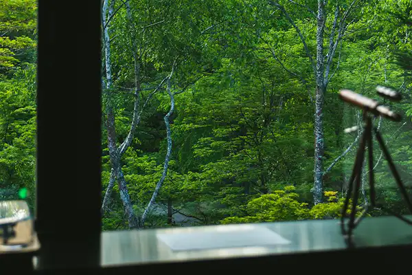 Example of a guest room