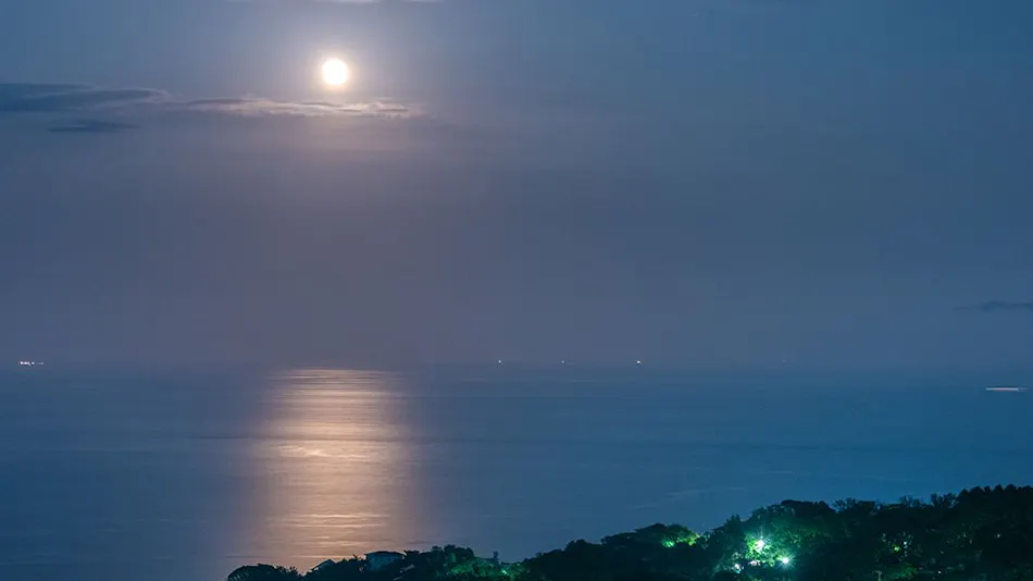 Izu Hotel Resort & Spa
