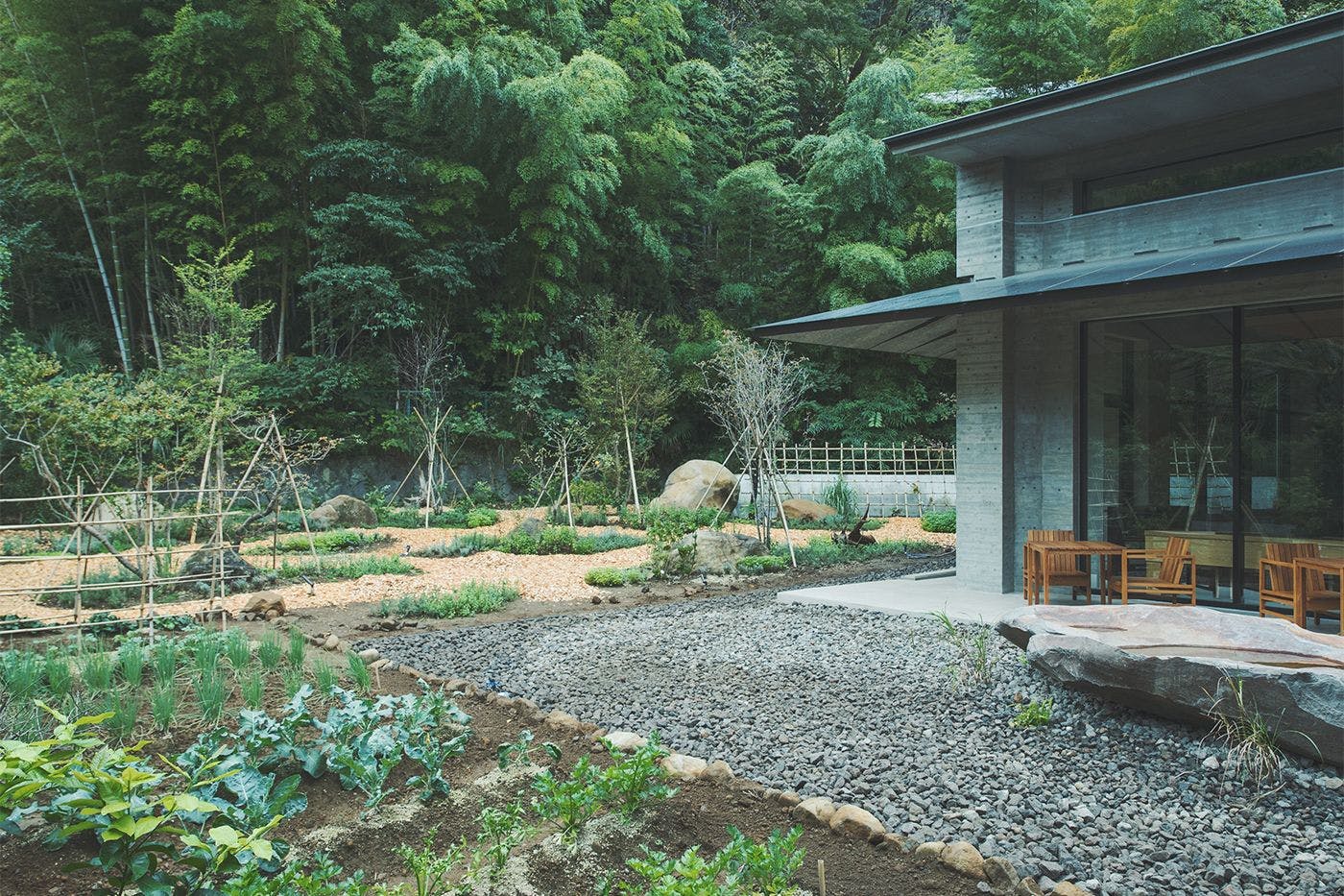 SOKI ATAMI