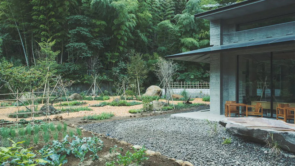SOKI ATAMI