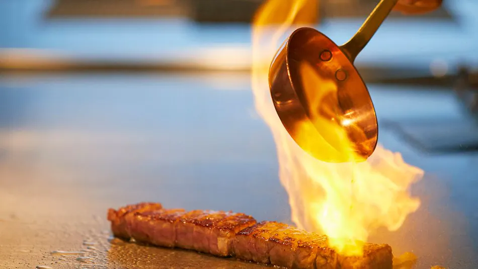 Suisui Garden Ryokan (Registered Tangible Cultural Property Inn / Art Hotel Kokura)