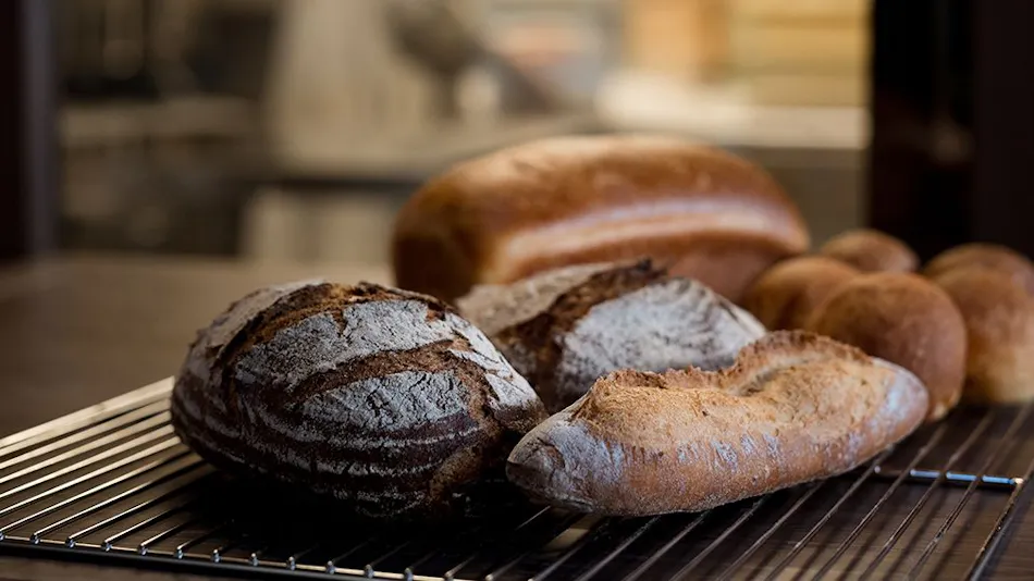 LOQUAT Nishi-Izu