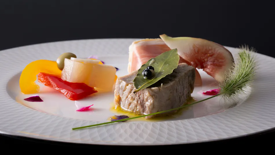 TUZUMI WAKAYAMA SUSAMI