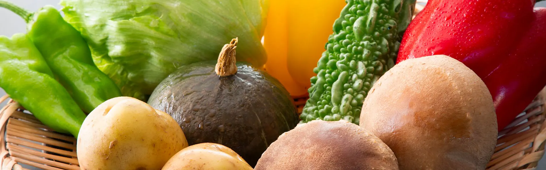 TUZUMI WAKAYAMA SUSAMI