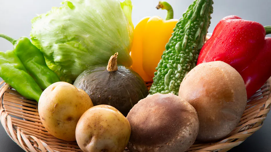 TUZUMI WAKAYAMA SUSAMI