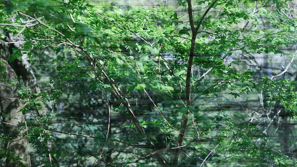 Akiu Fuga