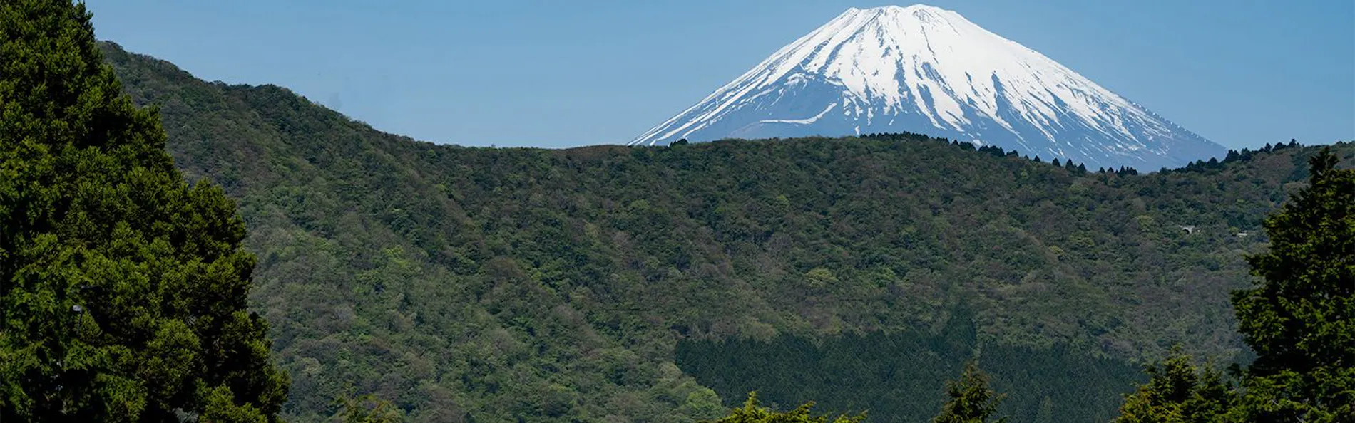 仙石原古今