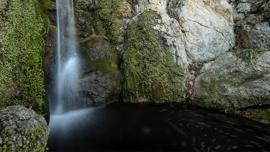 Okudogo Ichiyu no Mori Bettei Tsubonakagawa