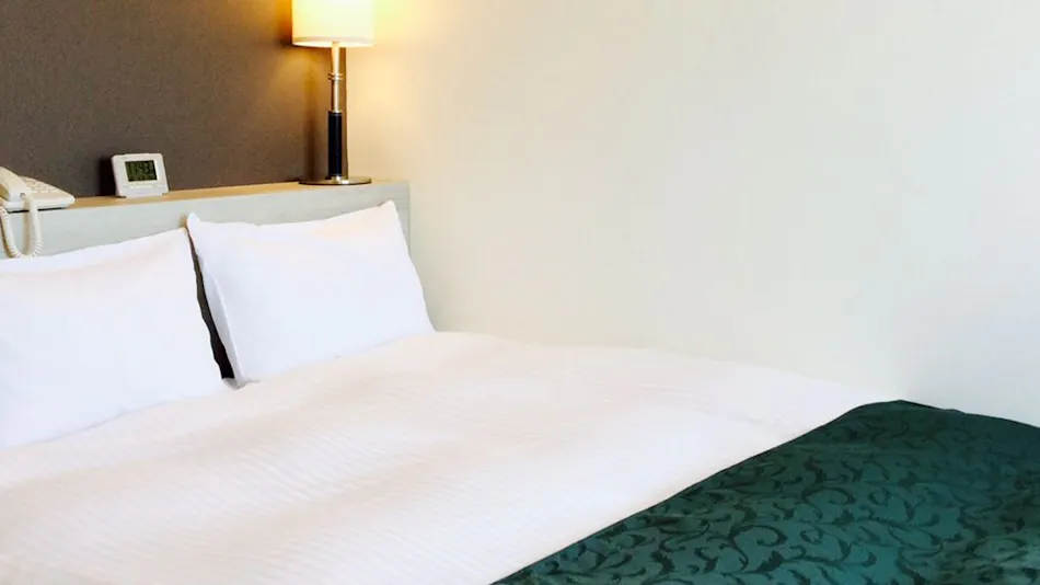 Hotel Monterosa Ota