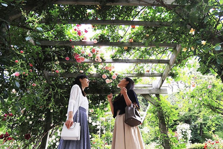 花巻温泉ホテル紅葉館の設備 サービス情報 宿泊予約なら Yahoo トラベル 花巻温泉ホテル紅葉館の設備 サービス情報 宿泊予約なら Yahoo トラベル