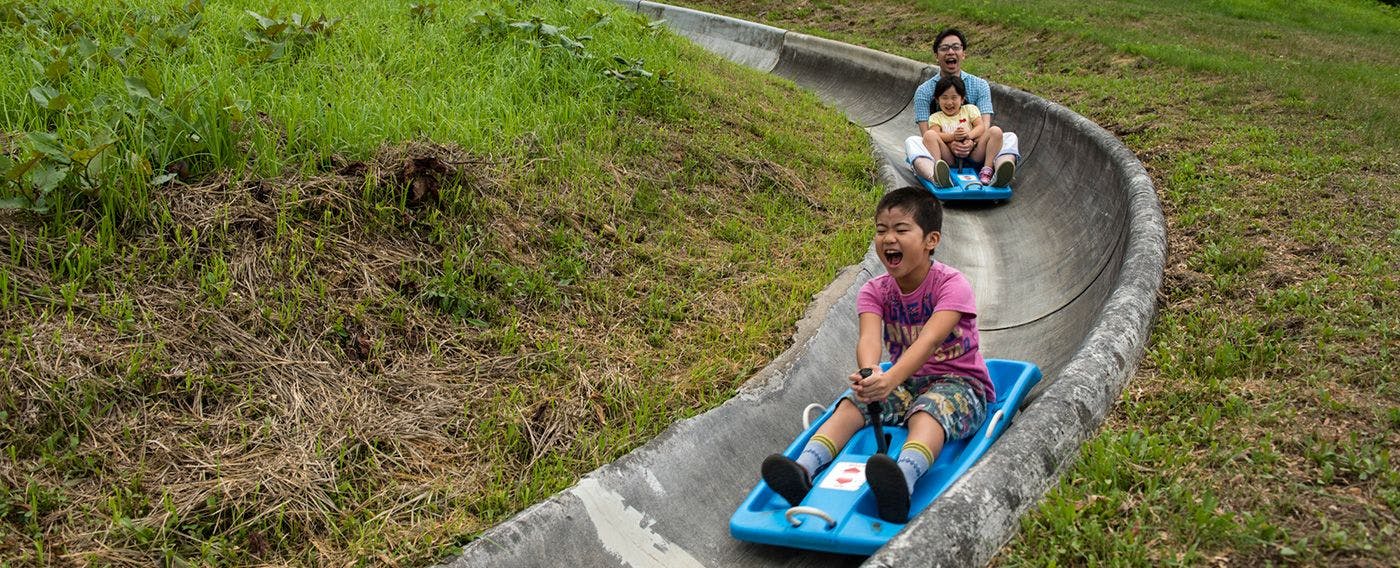 กิจกรรม