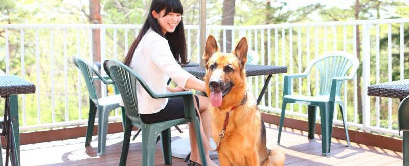 이미지 c_ss_resutoran6_220726.jpg.jpg