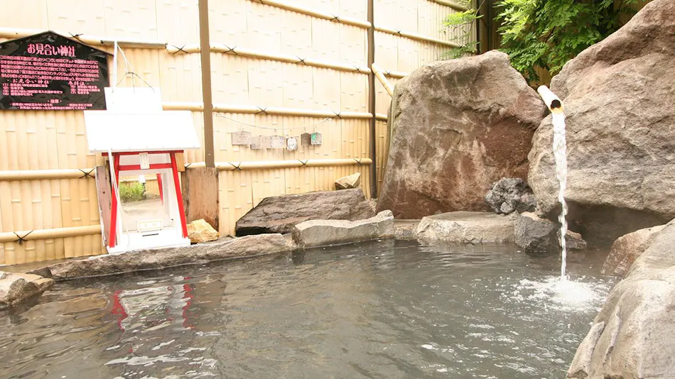 Shinshu Nakaoyama Onsen Shosenkaku