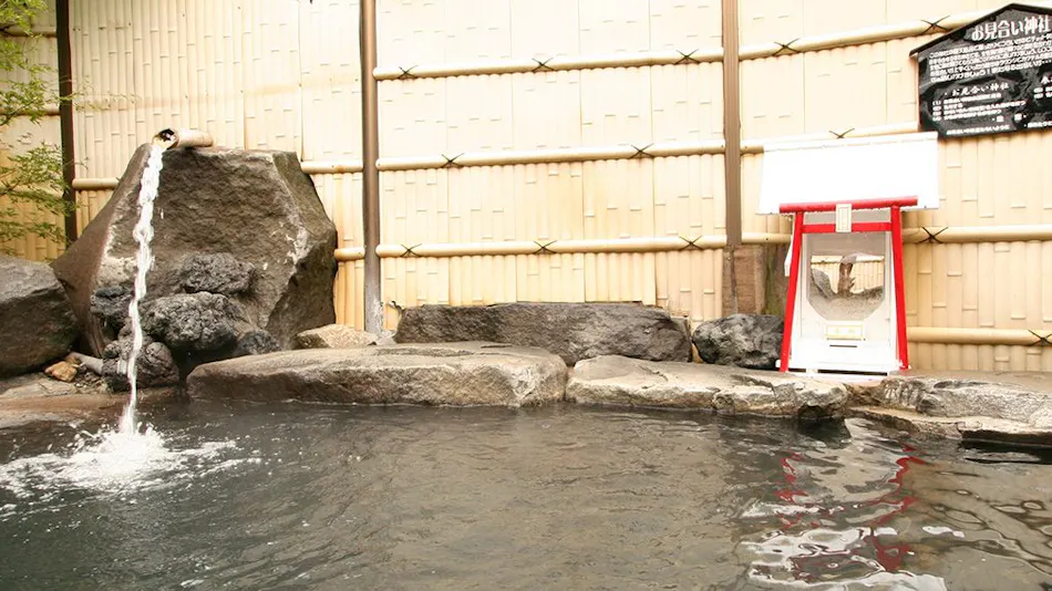 Shinshu Nakaoyama Onsen Shosenkaku